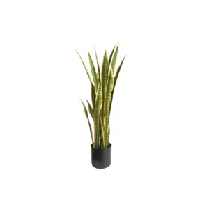 Plant 44" Sansevieria