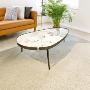 Seeds Coffee Table - Gold Frame