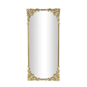 Gold Metal Tall Ornate Baroque Floor Mirror (10955)
