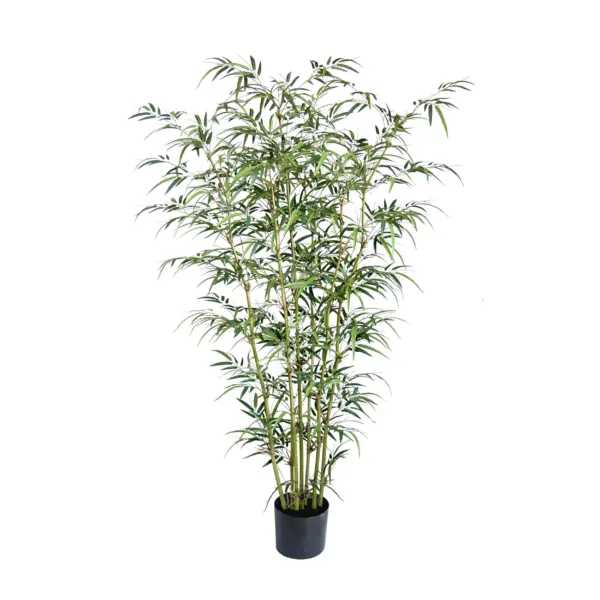 Bambusa Style Slim Bamboo Tree