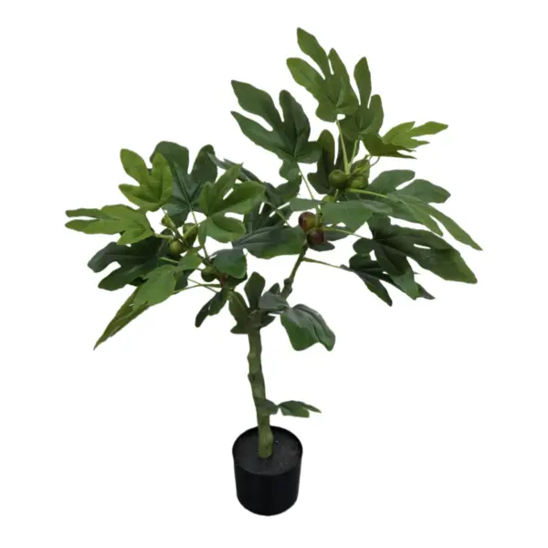 Fig Tree X 28 Leaves In Pot - 90 cm