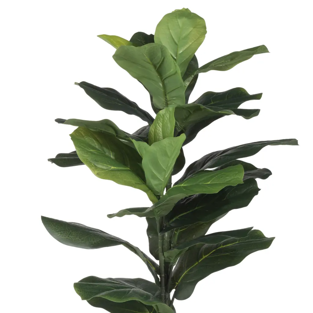 186000029877 2 United Furniture