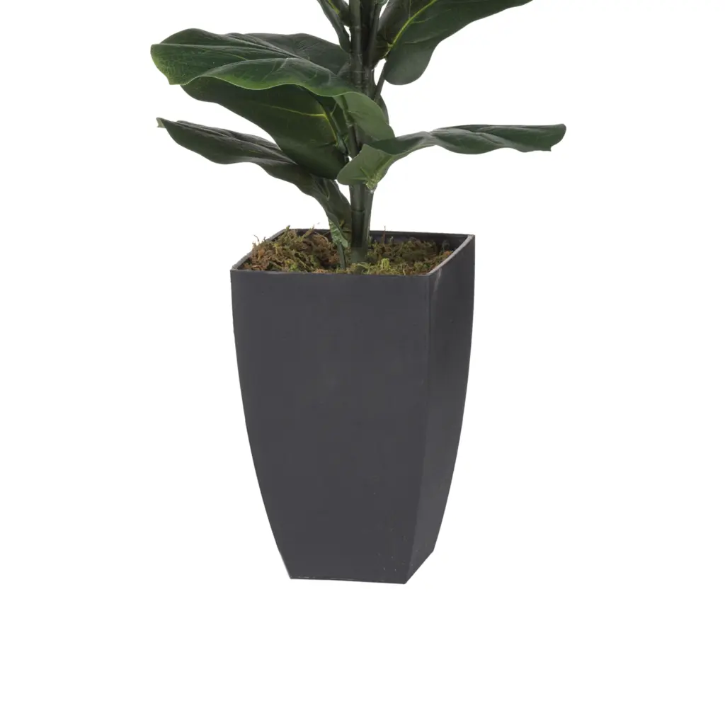 186000029877 3 United Furniture