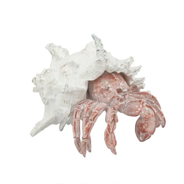 Hermit Crab Figurine (C5469-Wtrd)