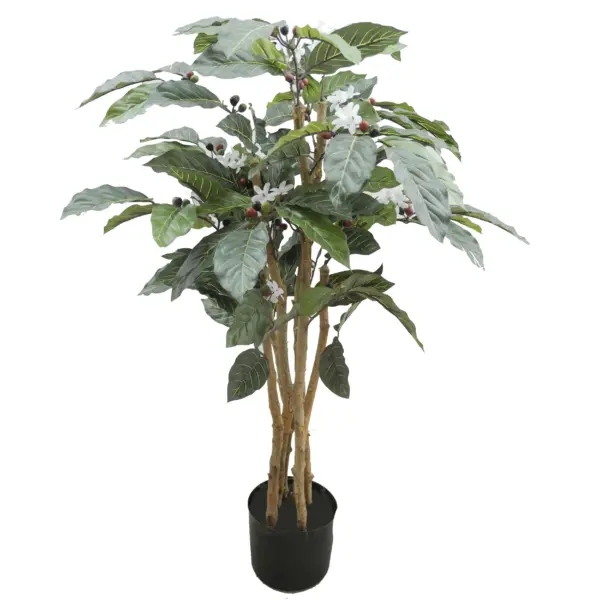 Triple Double Style Coffee Tree X 126 Leaves In Pot