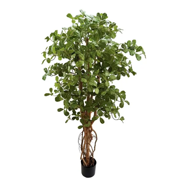 Natural Touch Twiggy Classical Style Azalea Tree - 150 cm