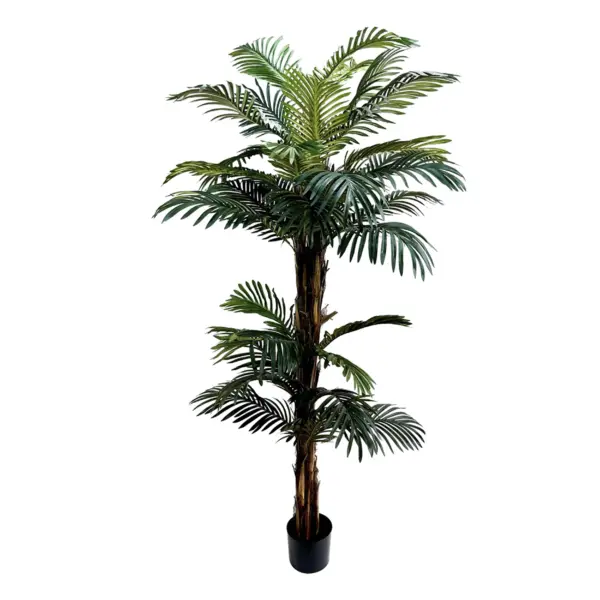 Kenya Style Fuji Palm Tree