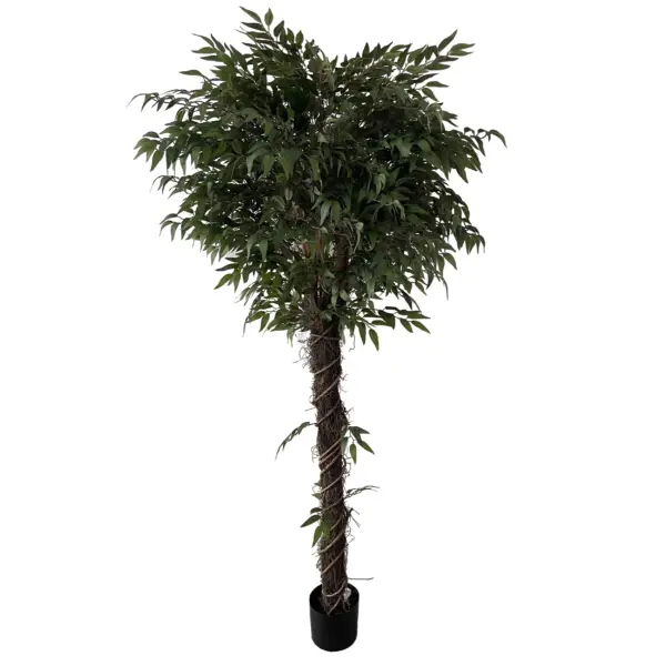 Twisted Vine Style Green Ash Tree - 180 cm