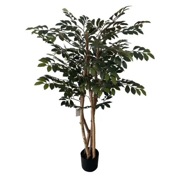 Triple Double Style Huckleberry Tree