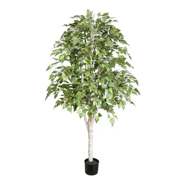 Whitty Style Birch Tree