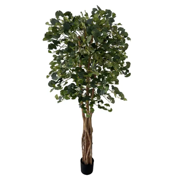 Palace Style Ginkgo Tree